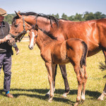 Duchess Lancer & Lord Lancer