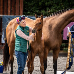 Malawi Lancer & Fame, Elite Foal Registration 2019