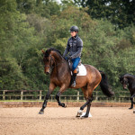 Sales Photos
Lancer Stud, Bury St Edmunds, Suffolk, United Kingdom, GBR
10/09/19
- MANDARTORY Credit Sophie Harris/ SEH Photography
- NO UNAUTHERORISED USE
- 07825091348