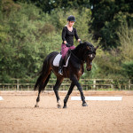 Sales Photos
Lancer Stud, Bury St Edmunds, Suffolk, United Kingdom, GBR
10/09/19
- MANDARTORY Credit Sophie Harris/ SEH Photography
 - NO UNAUTHERORISED USE
- 07825091348